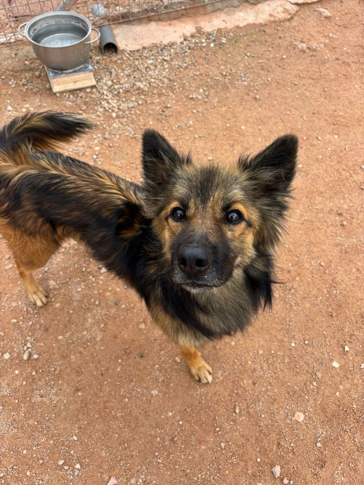 PERU 320 27620 Gasny