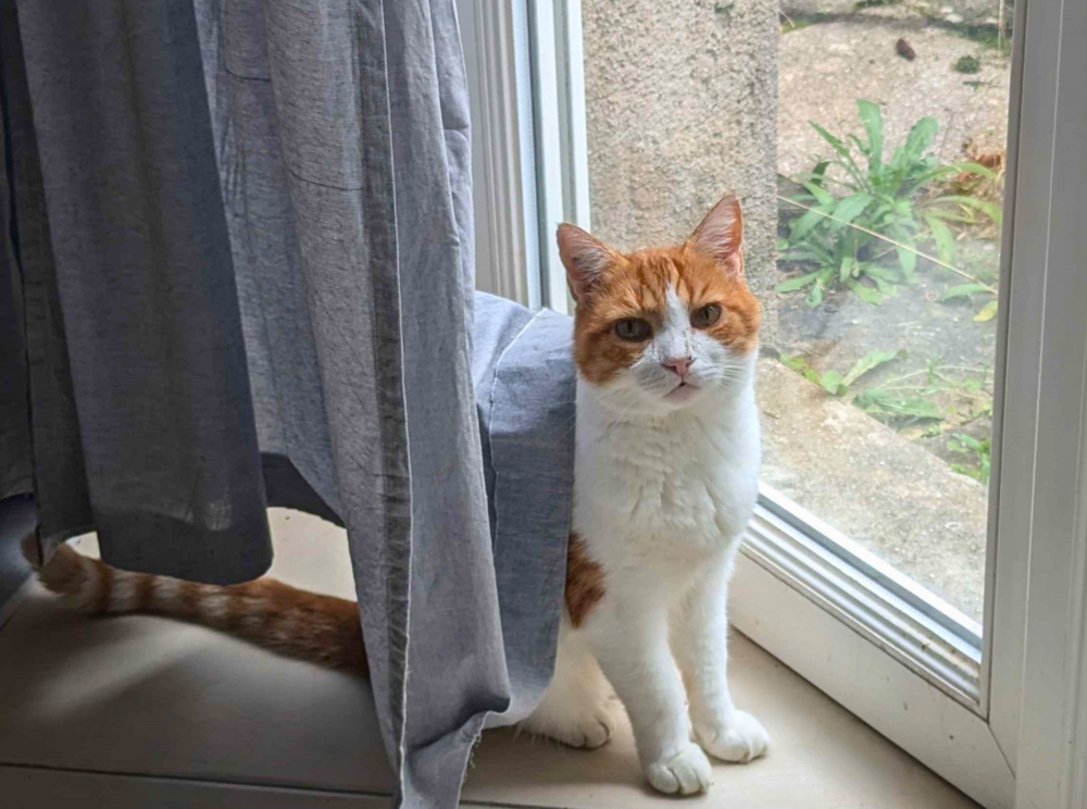 Rouki 80 44000 Nantes