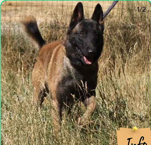 Roscoff 230 26700 Pierrelatte