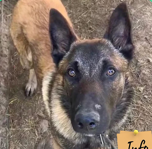 Usko 230 26700 Pierrelatte