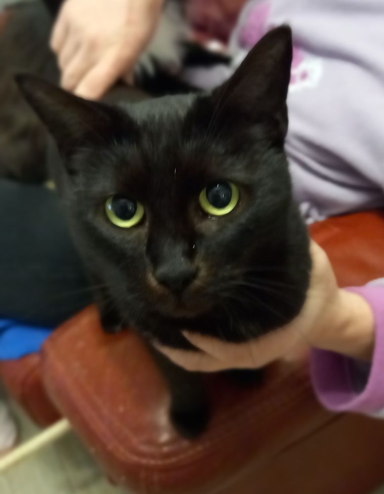 MIKETTE 115 95420 Saint-gervais