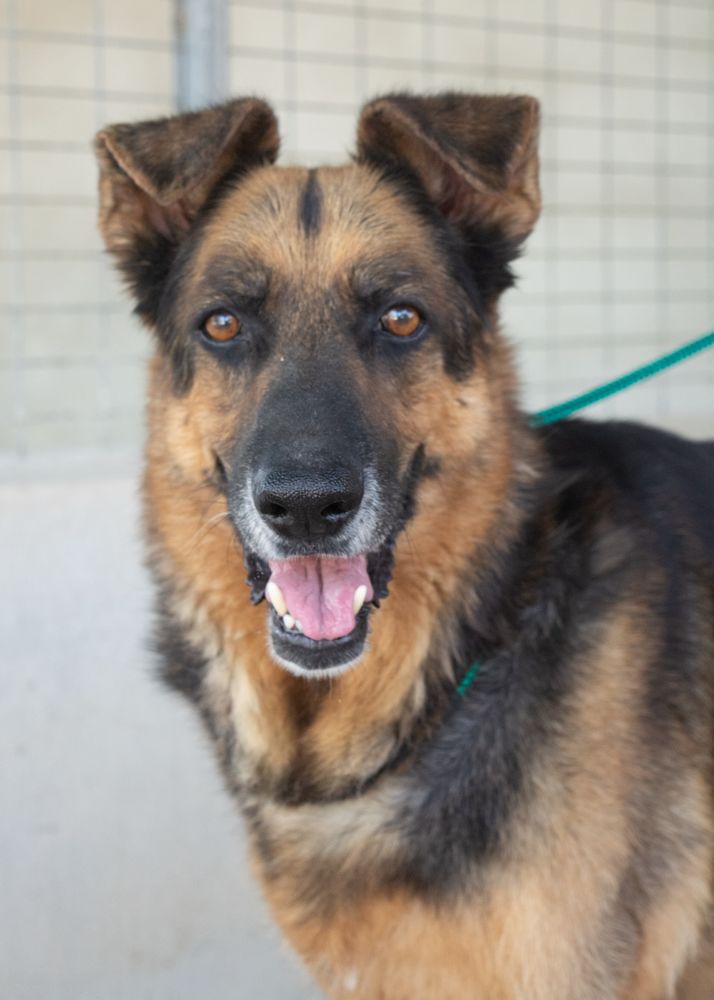 REYY 320 27620 Gasny