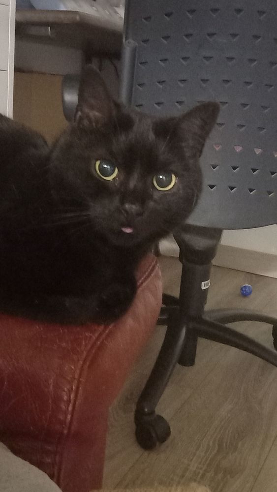 ISIS 115 95420 Saint-gervais