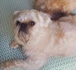 QUINO 320 27620 Gasny