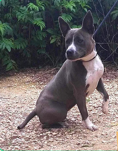 Tiya 230 26700 Pierrelatte