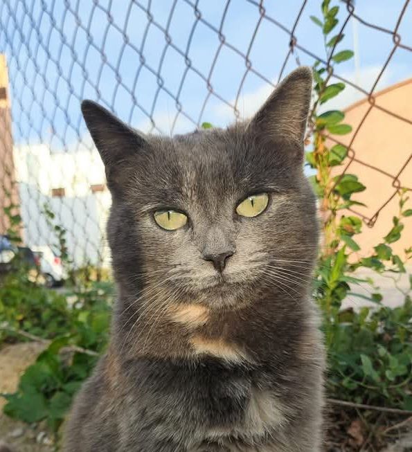 CLOE 230 27620 Gasny