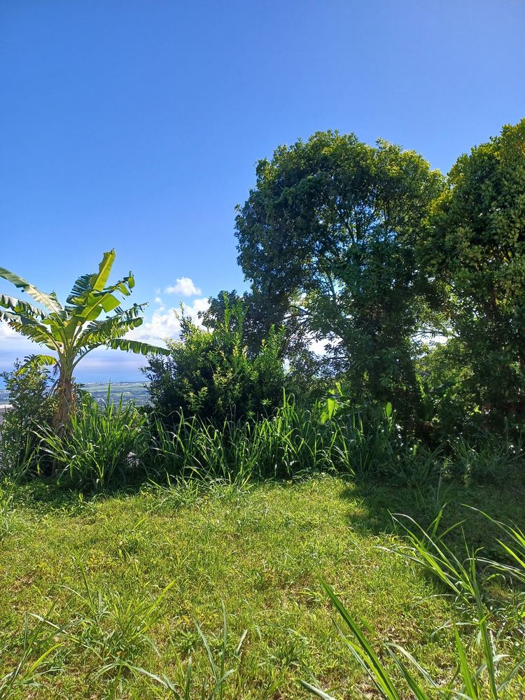 ORPI SAINTE MARIE - Maison avec vue mer sur terrain de 1 301 m²