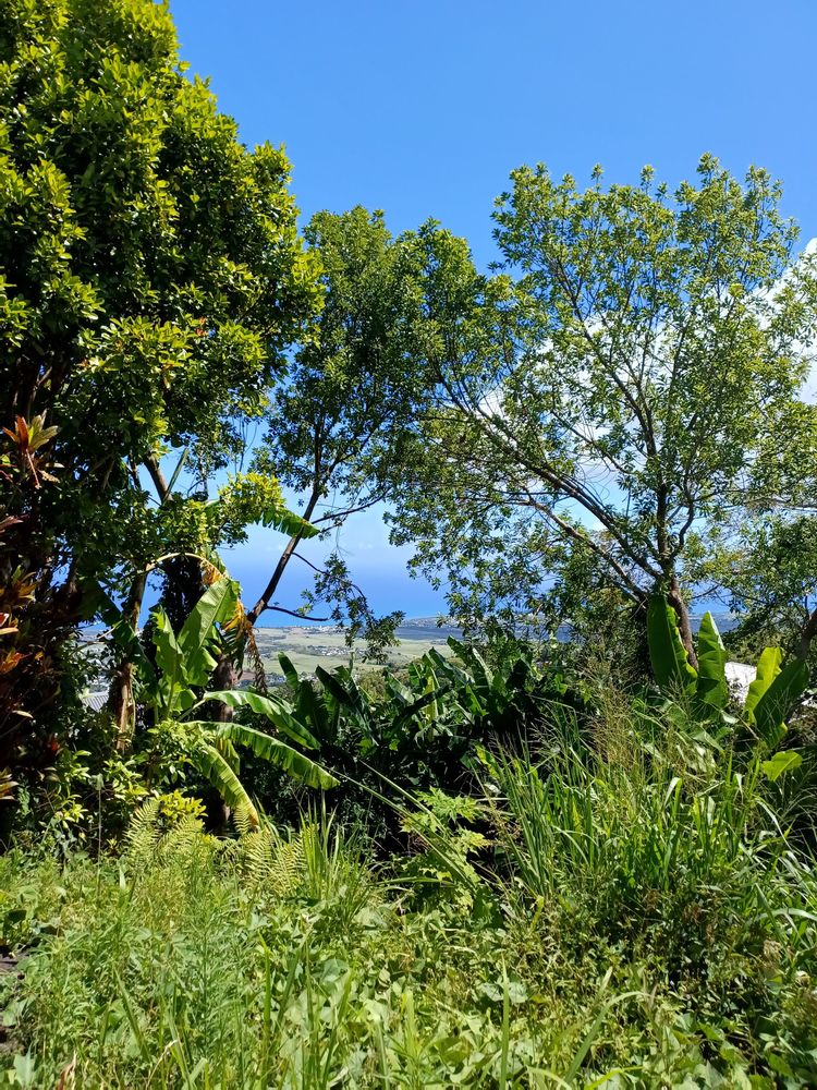 ORPI SAINTE MARIE - Maison avec vue mer sur terrain de 1 301 m²