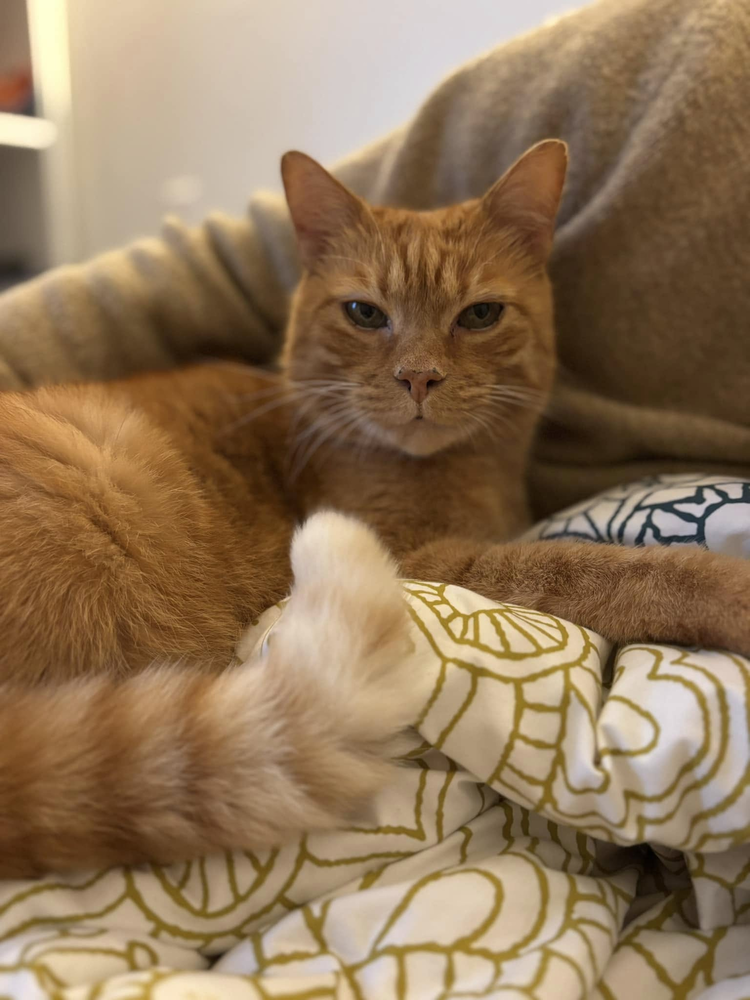 Alonso 80 44000 Nantes