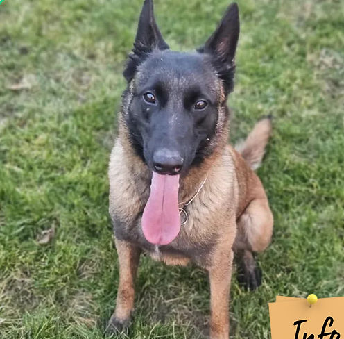 Bella malou 230 26700 Pierrelatte