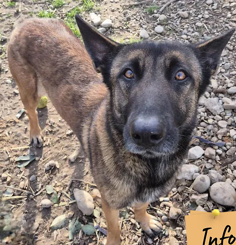 Bella 230 26700 Pierrelatte