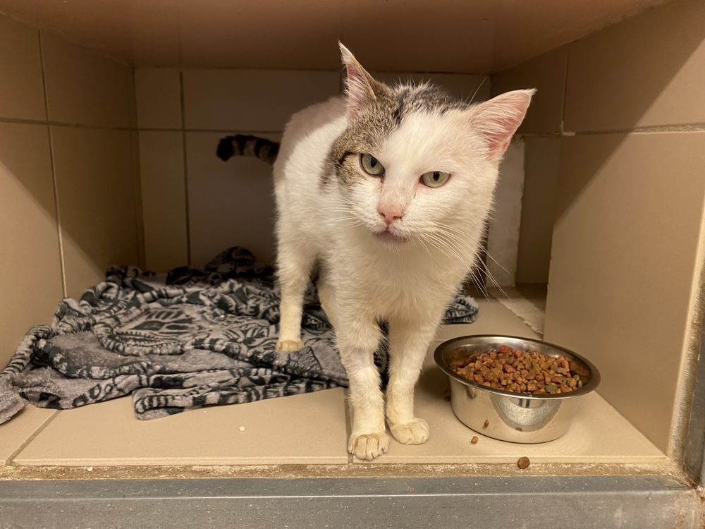 NONAME 200 26700 Pierrelatte