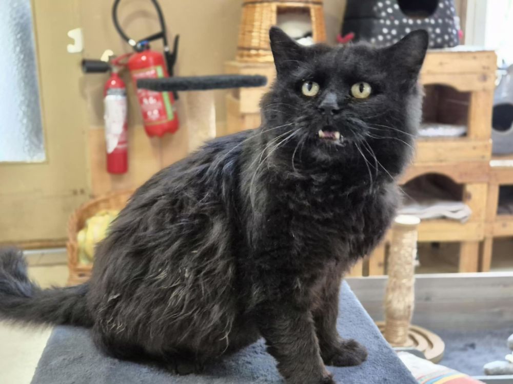 WHITE 200 26700 Pierrelatte