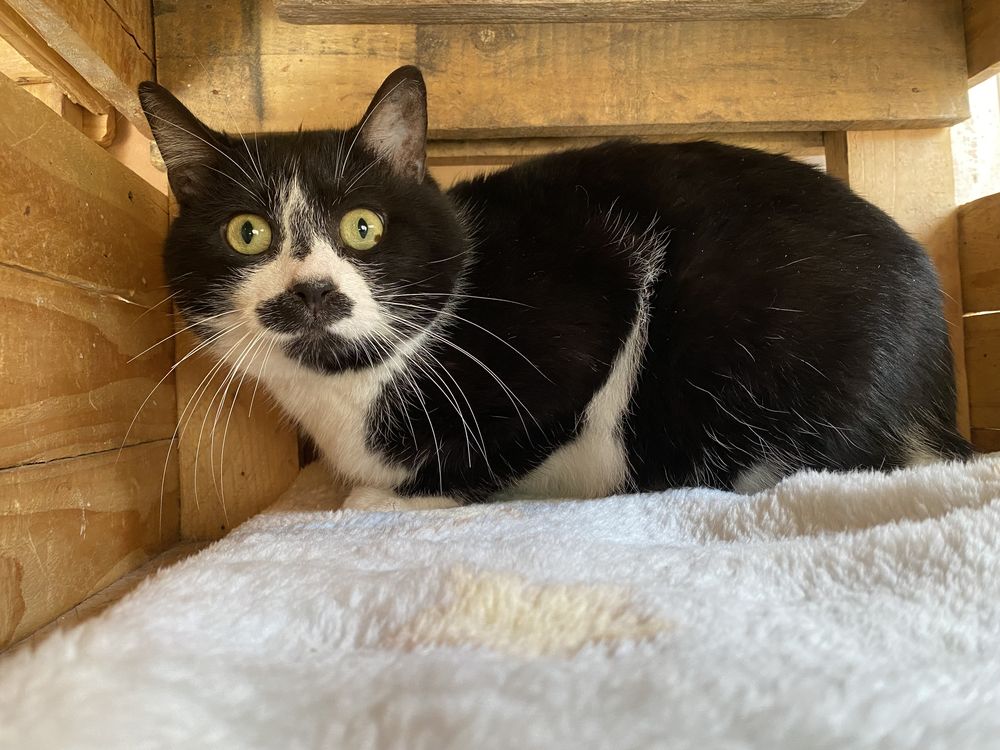 POTTER 50 26700 Pierrelatte