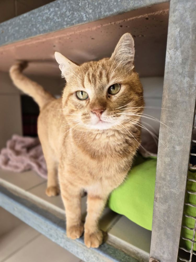 TOUROUX 200 26700 Pierrelatte