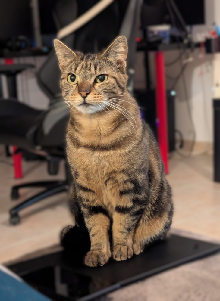 Tara 100 44000 Nantes