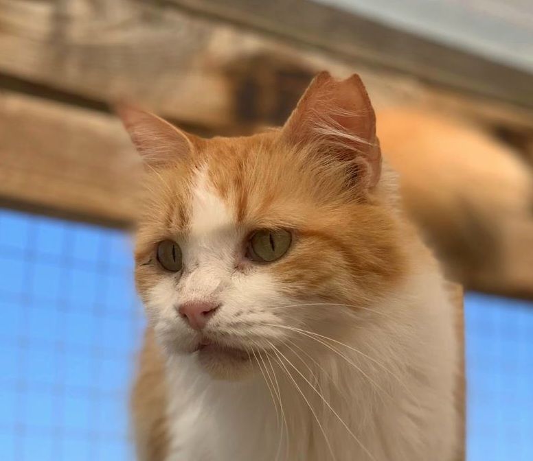 PERLA 230 27620 Gasny