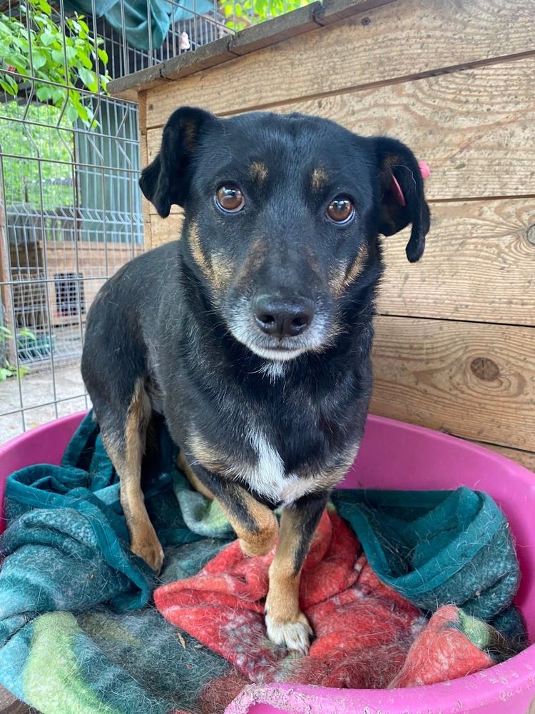 DANNA   AU REFUGE EN UKRAINE 0 75018 Paris