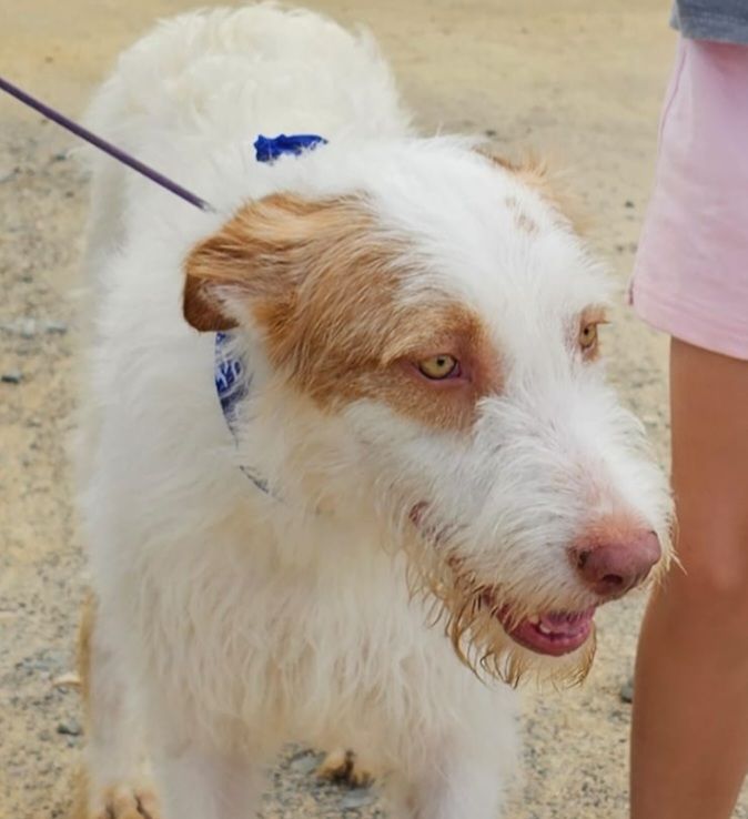 KAIRI 320 27620 Gasny