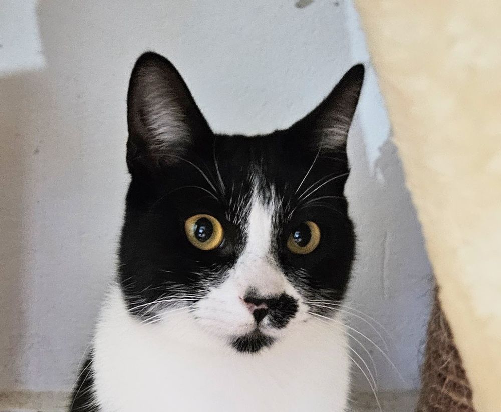 GOLFO 230 27620 Gasny