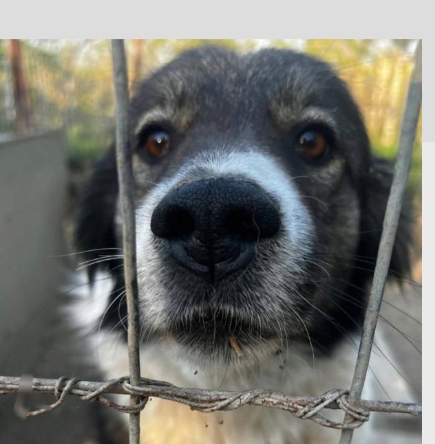 LUCKY 320 27620 Gasny