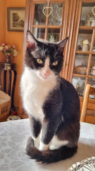 ALPHONSE 75 27620 Gasny