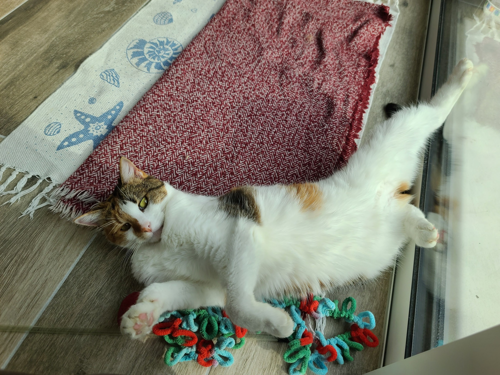 Indiana 80 44000 Nantes