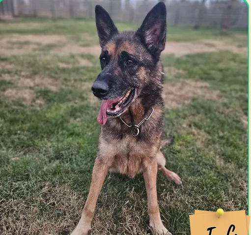 Zeus 230 26700 Pierrelatte