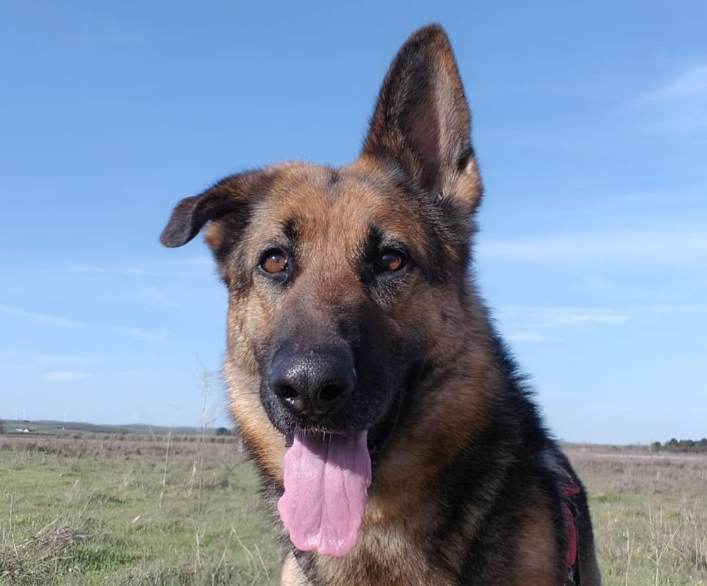 HADA 320 27620 Gasny