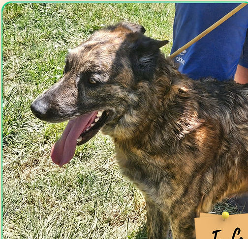 Charly 230 26700 Pierrelatte