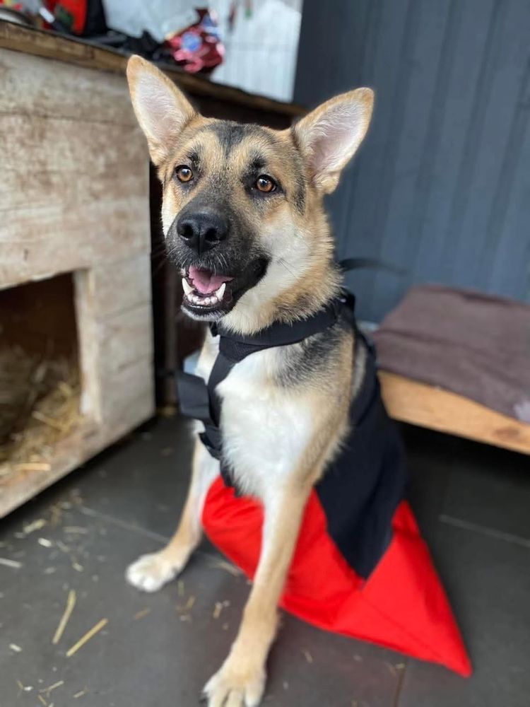 ARINA   actuellement en refuge en UKRAINE 0 75018 Paris