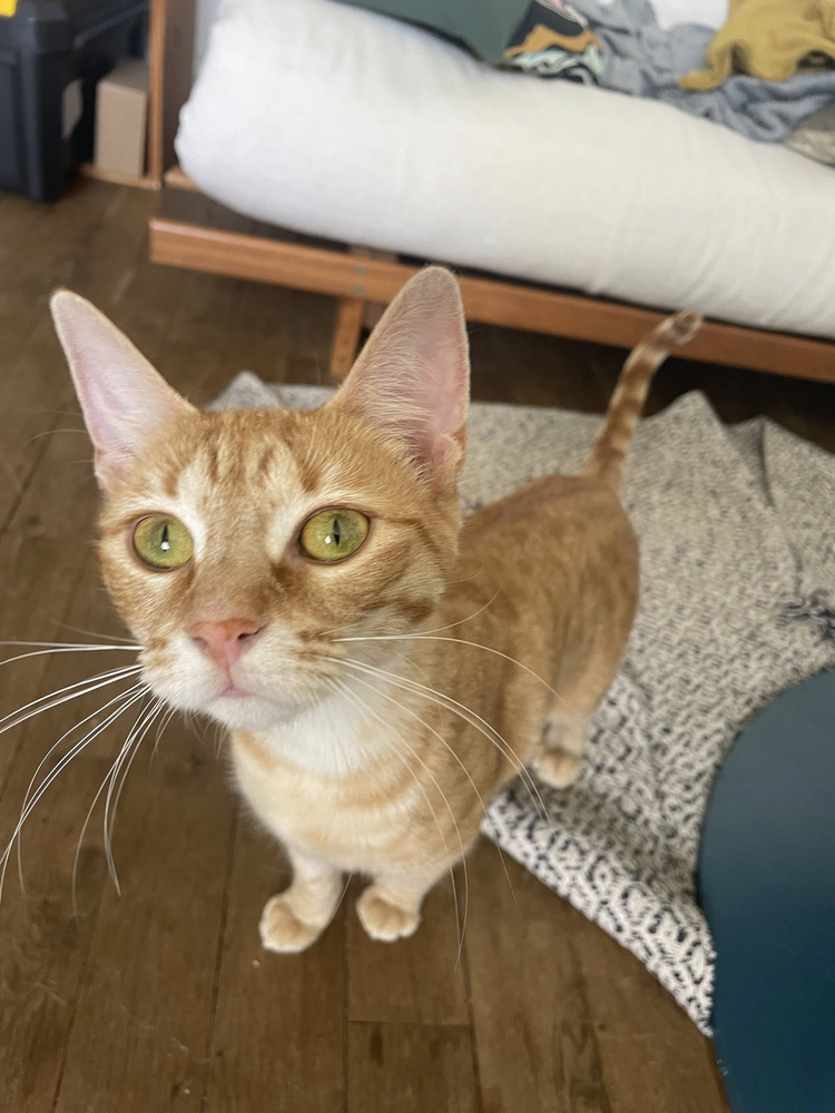 B&ecirc;ta 200 44000 Nantes