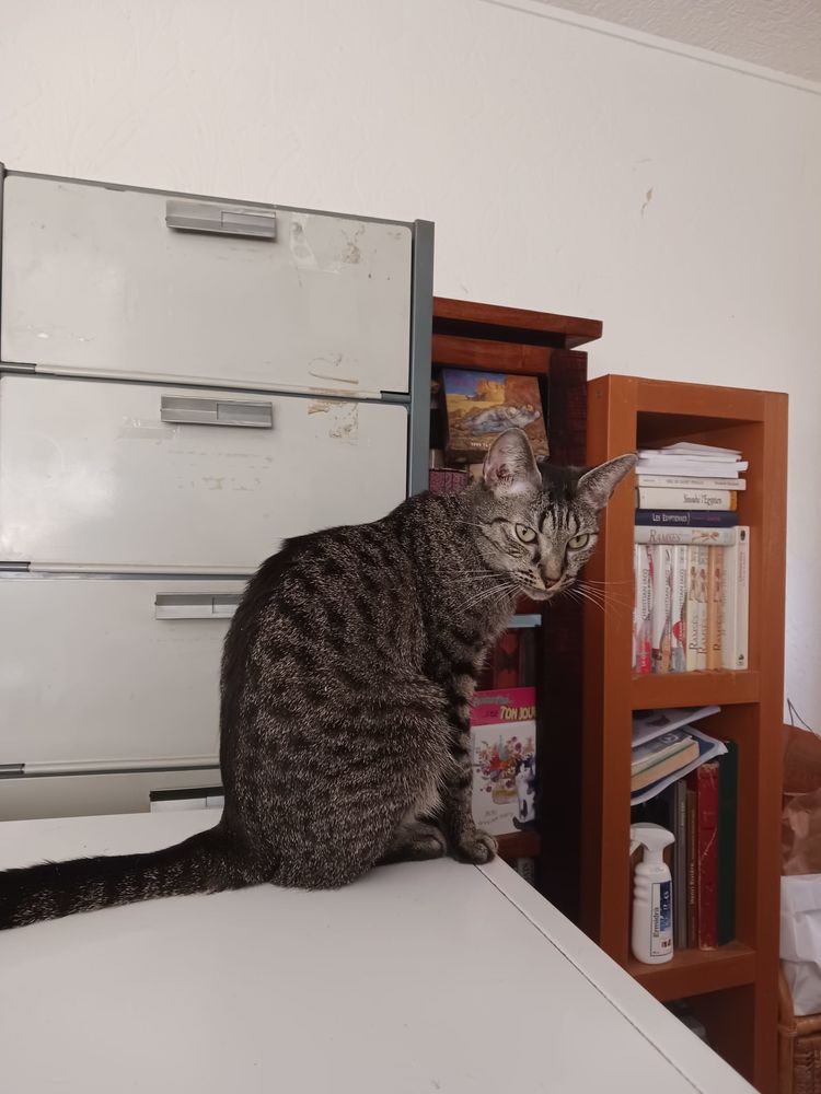 TARA 240 92400 Courbevoie