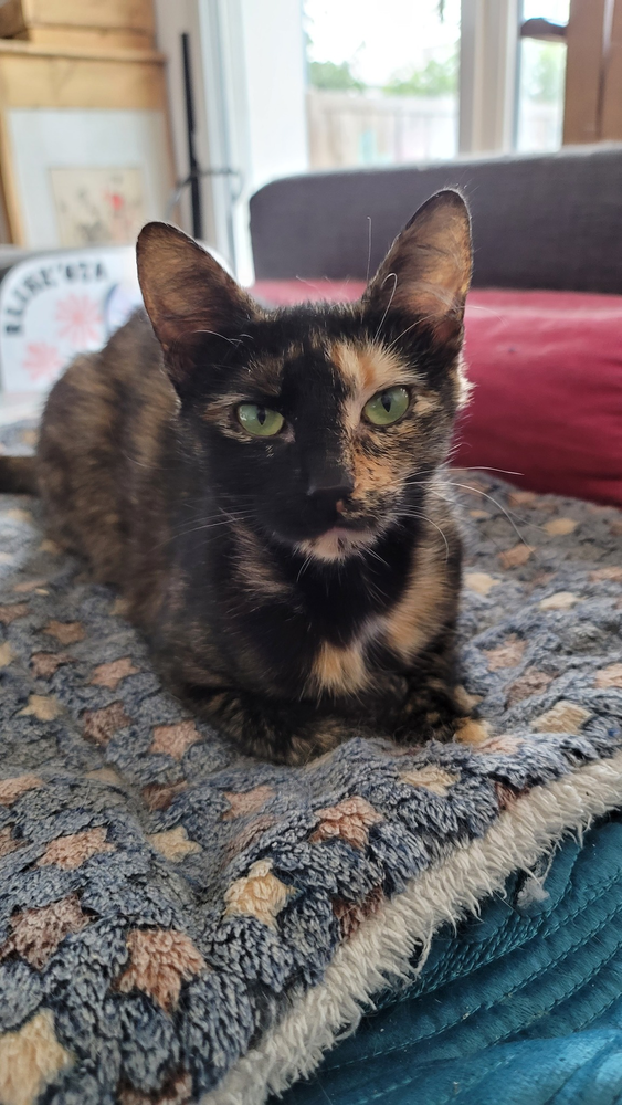 Epsilon 100 44000 Nantes