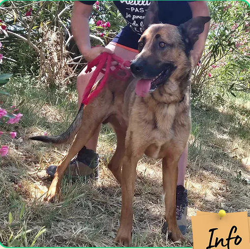 Tito 230 26700 Pierrelatte