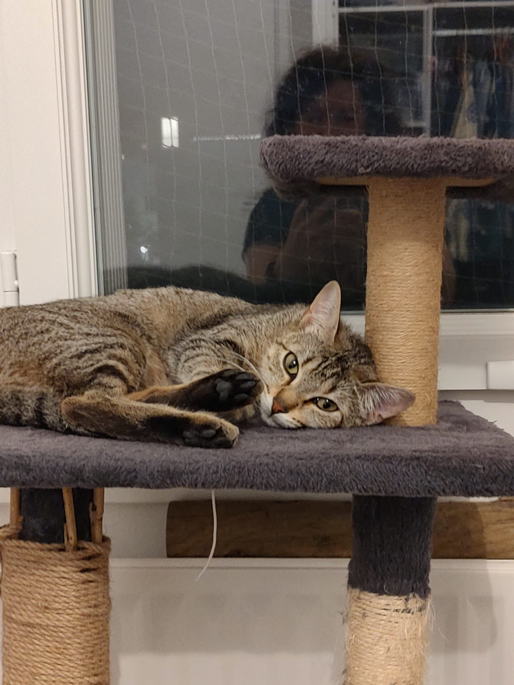 Salab 200 44000 Nantes