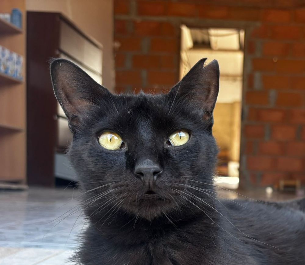 VINI 230 27620 Gasny