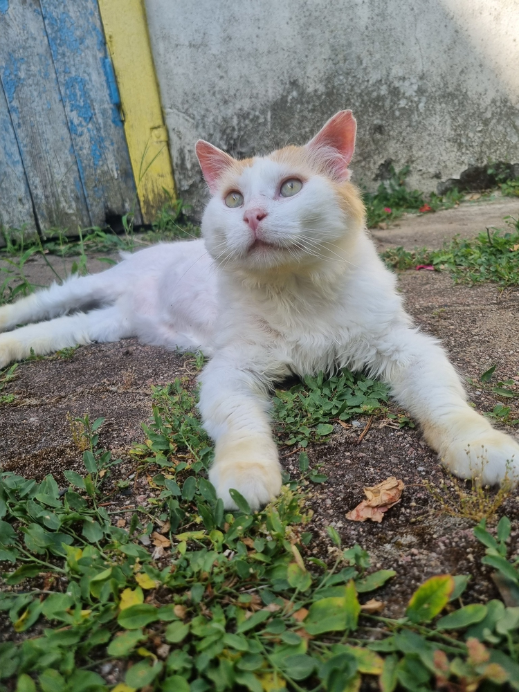 Eustache 80 44000 Nantes