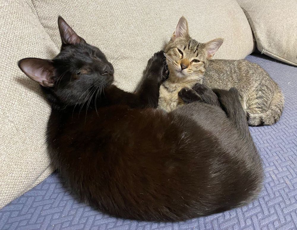 AURA et MAYA 460 27620 Gasny