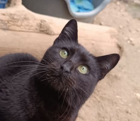 ARAMIS 230 27620 Gasny