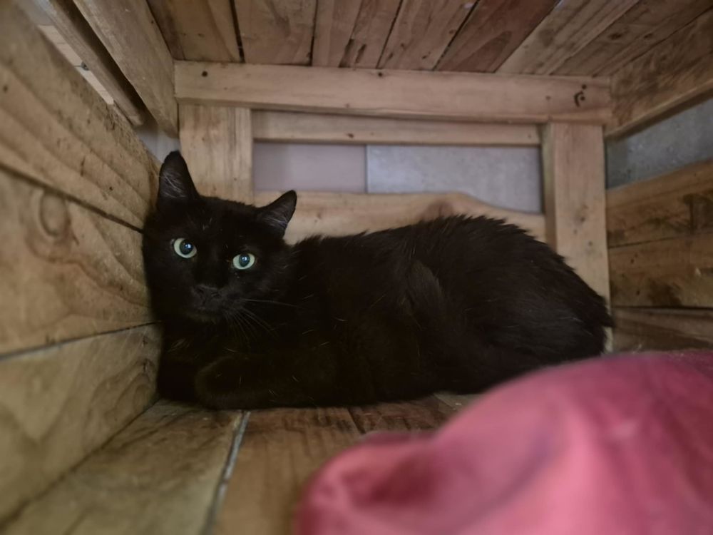 KENTO 50 26700 Pierrelatte