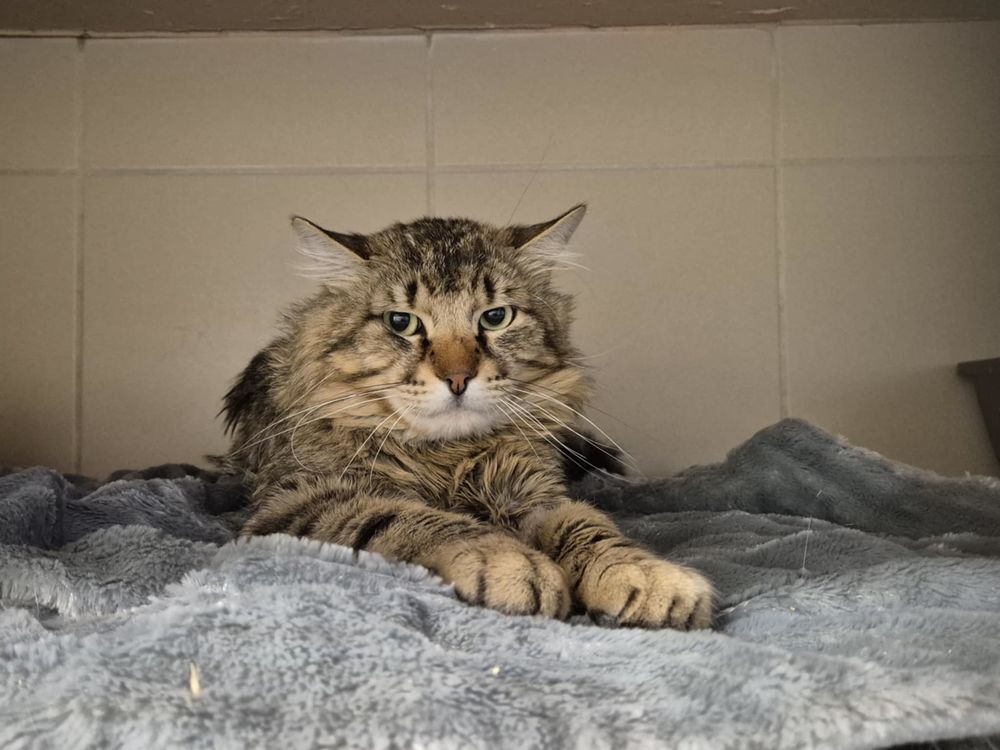 NYAN 200 26700 Pierrelatte