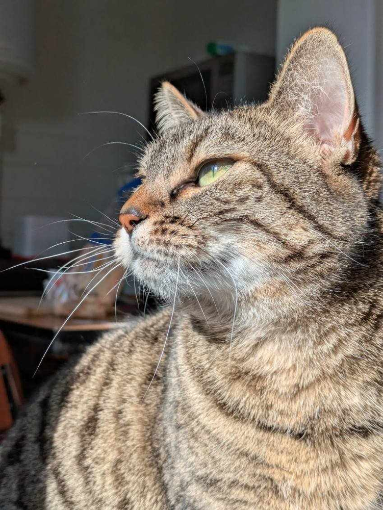 Grisette 180 44000 Nantes