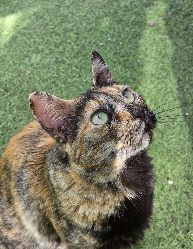 ABRIL 230 27620 Gasny