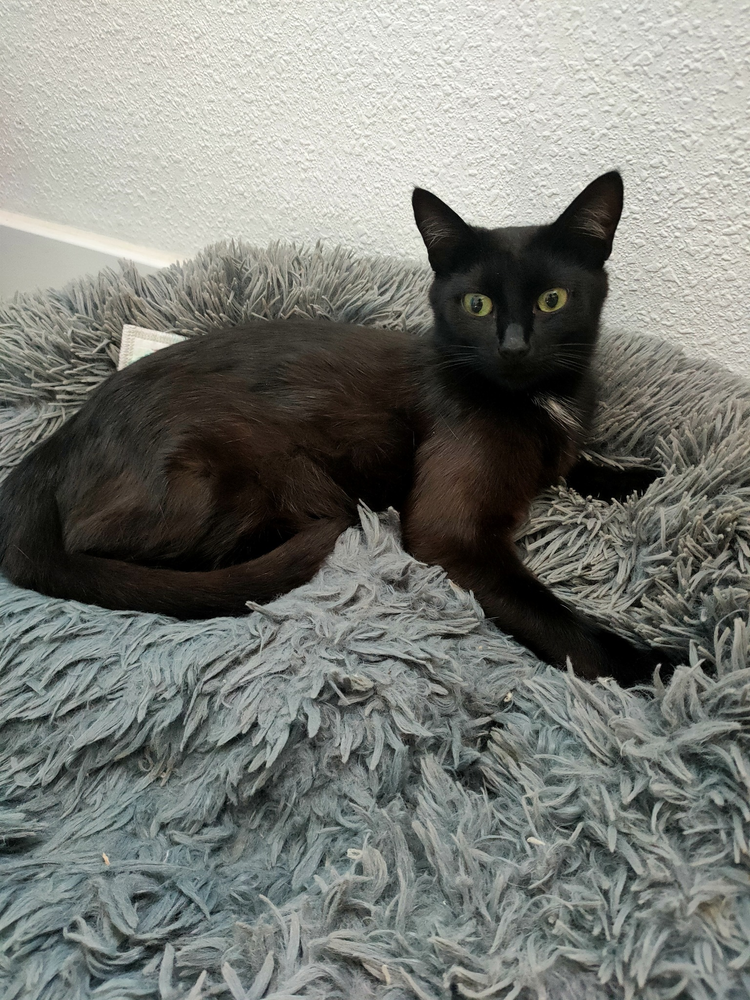 Ris&eacute;e 230 44000 Nantes