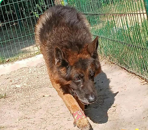 Loocky 50 26700 Pierrelatte