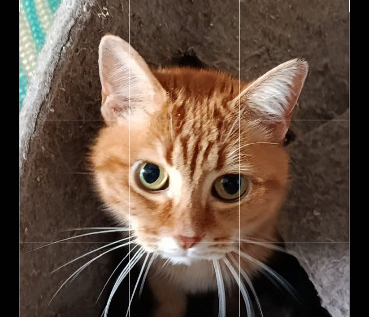 SILVI 230 27620 Gasny