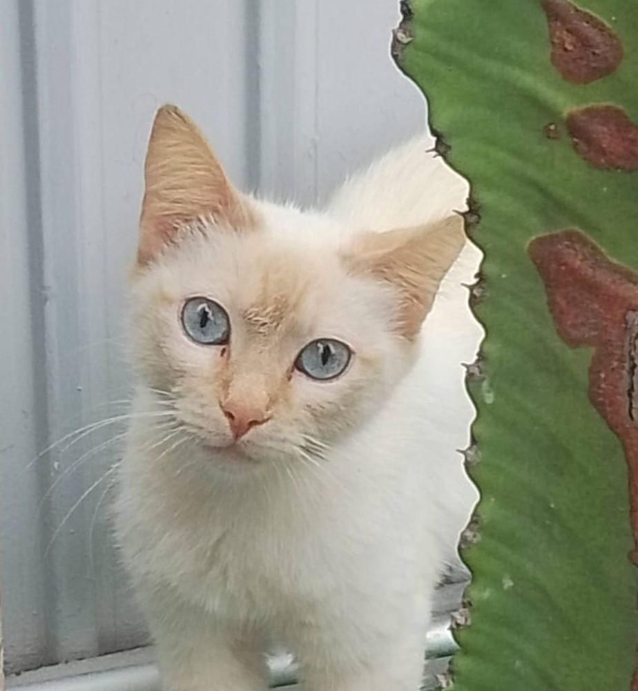 PARIS 230 27620 Gasny