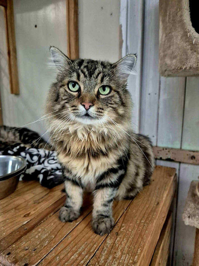 Rufus 200 26700 Pierrelatte