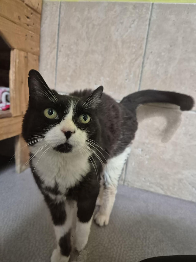 Eryanne 130 26700 Pierrelatte